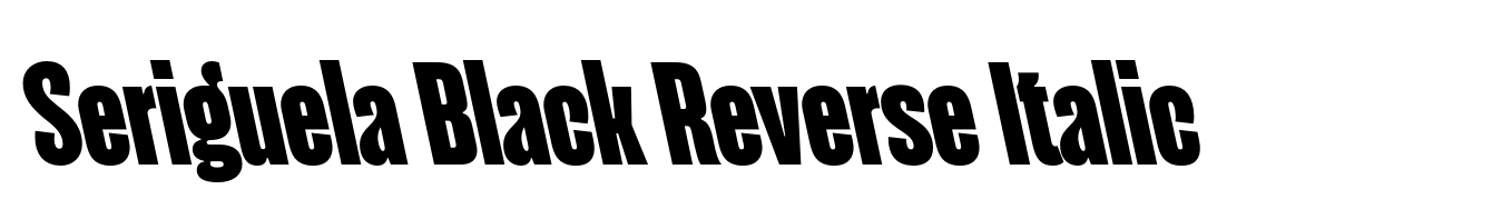 Seriguela Black Reverse Italic